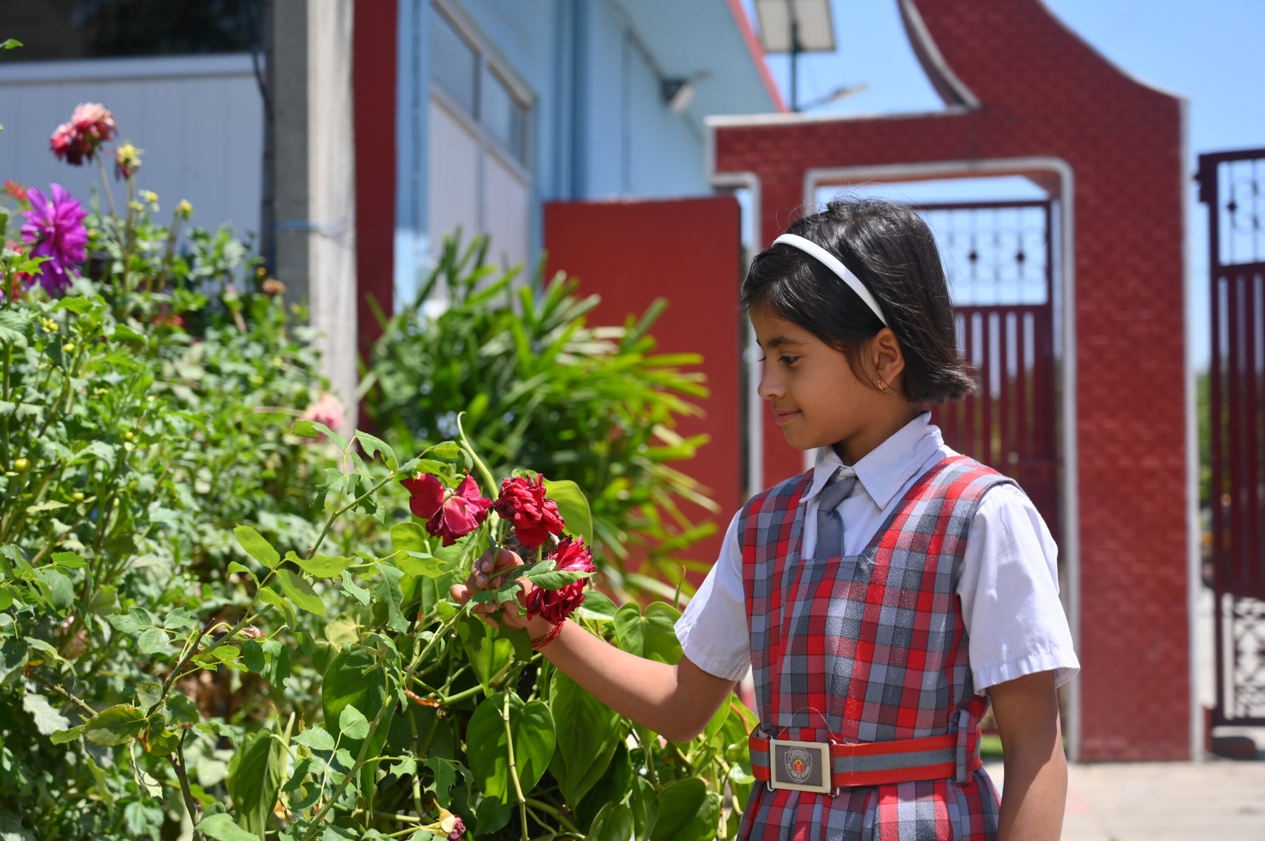 R P Public School A Journey To Excellence 